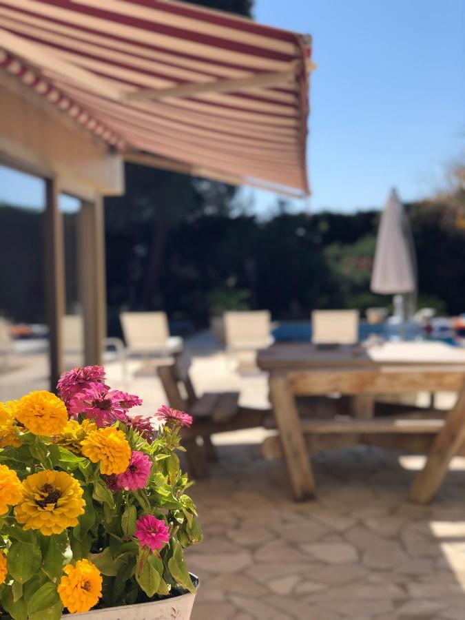 Le Paradis d’Anny Rouffiac-d'Aude Extérieur photo