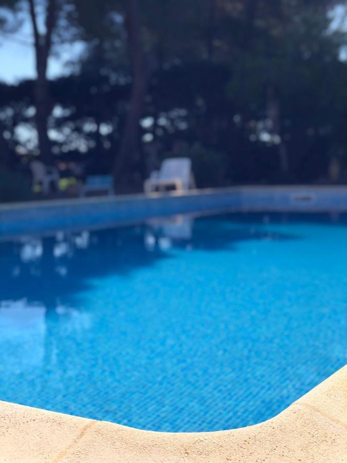 Le Paradis d’Anny Rouffiac-d'Aude Extérieur photo