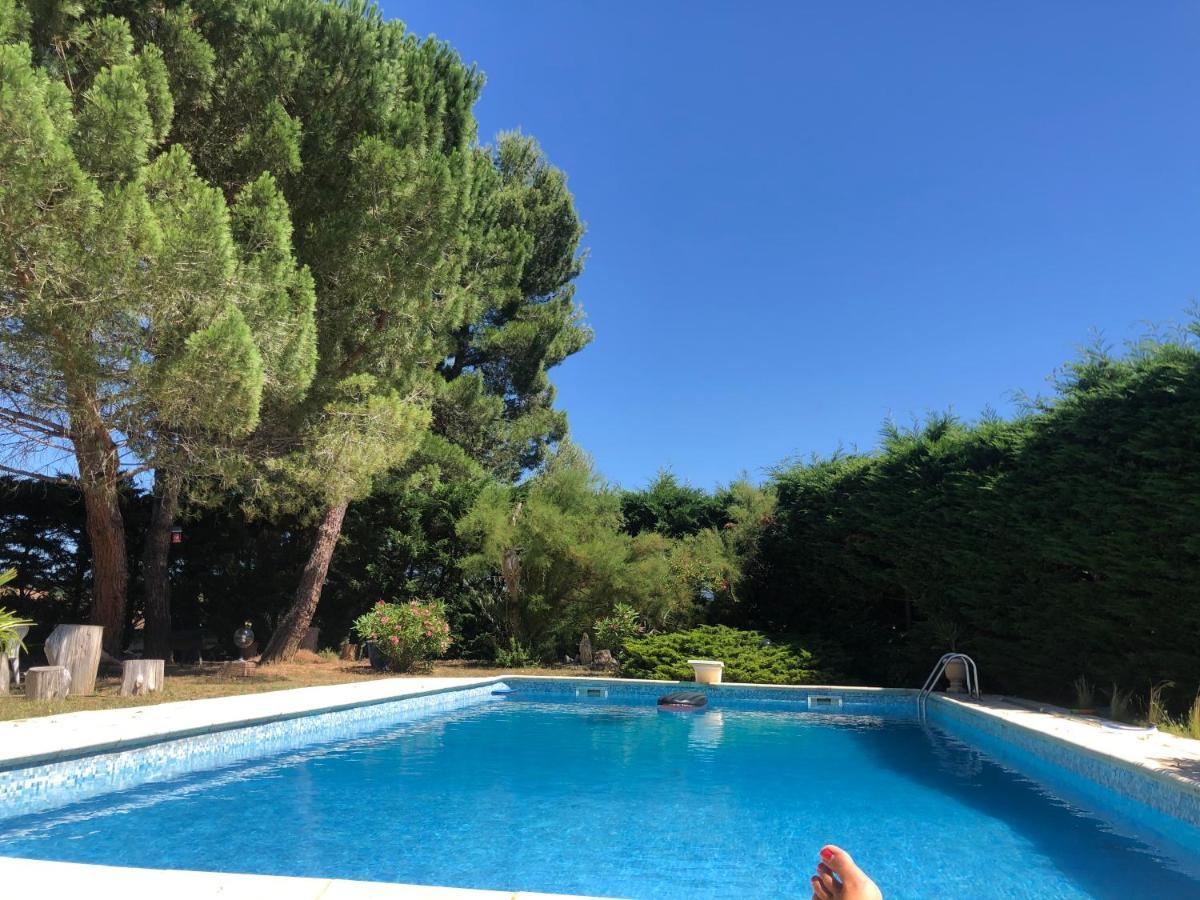 Le Paradis d’Anny Rouffiac-d'Aude Extérieur photo